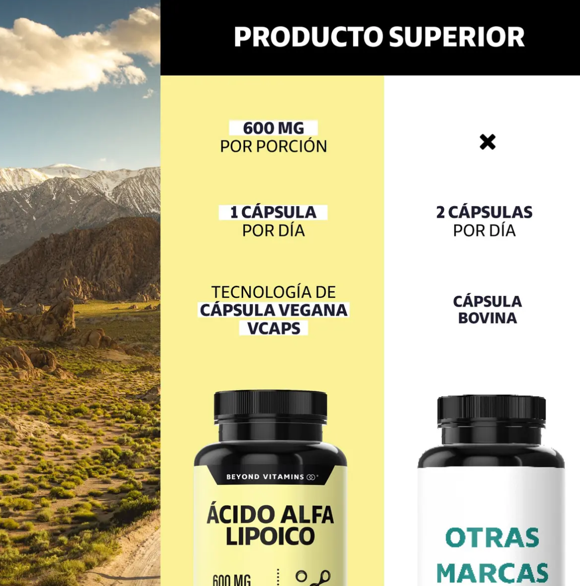 Ácido Alfa Lipoico Premium 600 mg | 60 Cápsulas